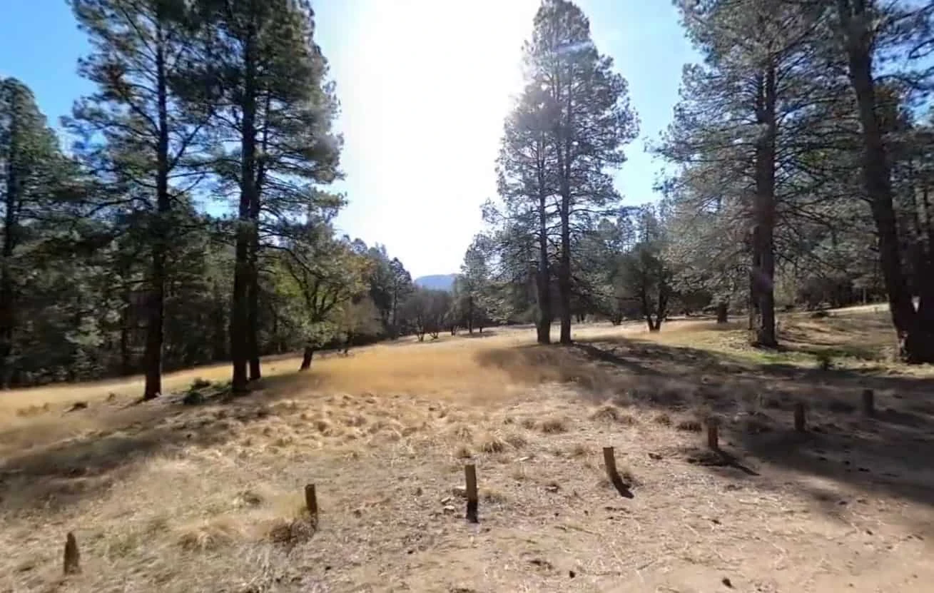 Reynolds Creek Group Campground