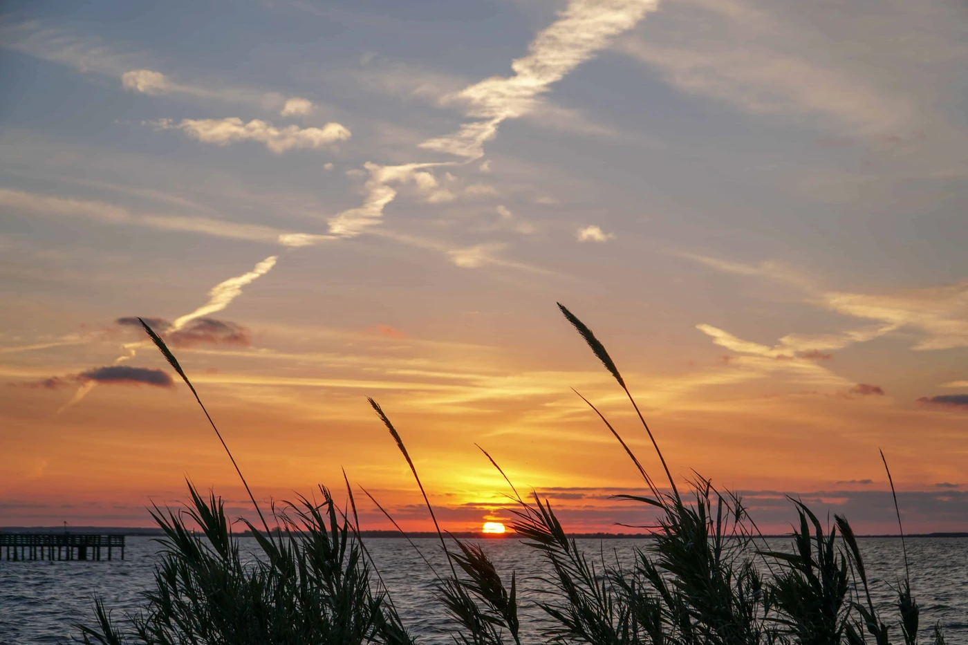 Jasmine Breeze RV Park