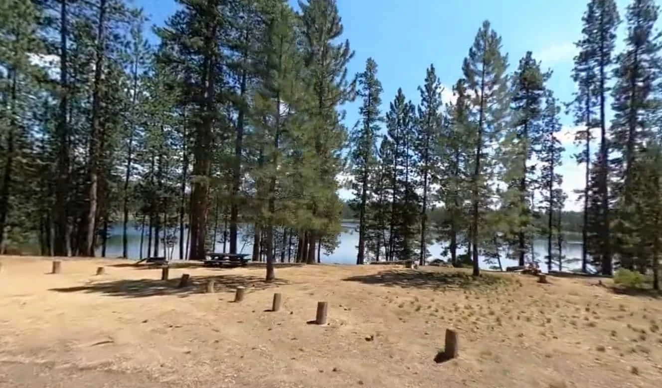 South Twin Lake Campground