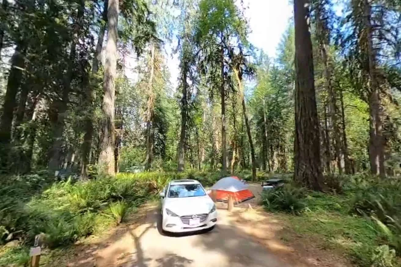 Black Canyon Campground (Willamette National Forest OR)