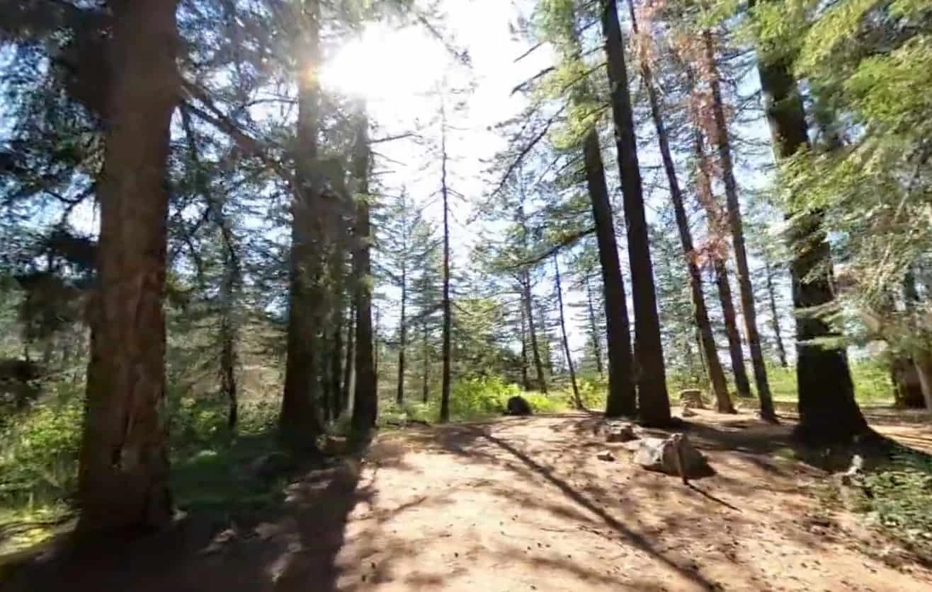 North Fork Campground (OR)