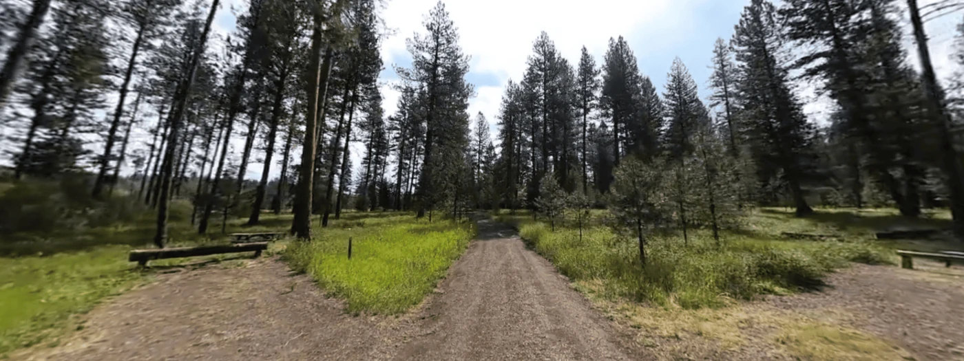 Bird Track Springs Campground