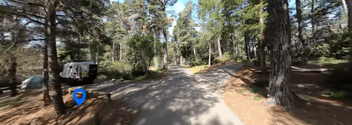 Salt Point State Park - Woodside Campground