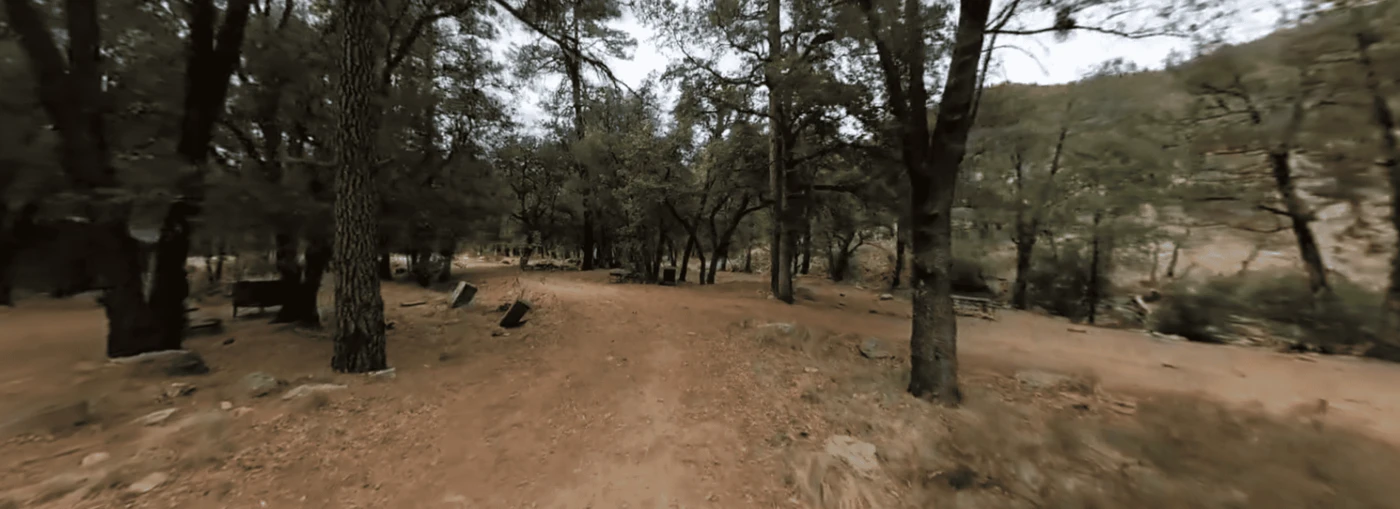 Sycamore Campground