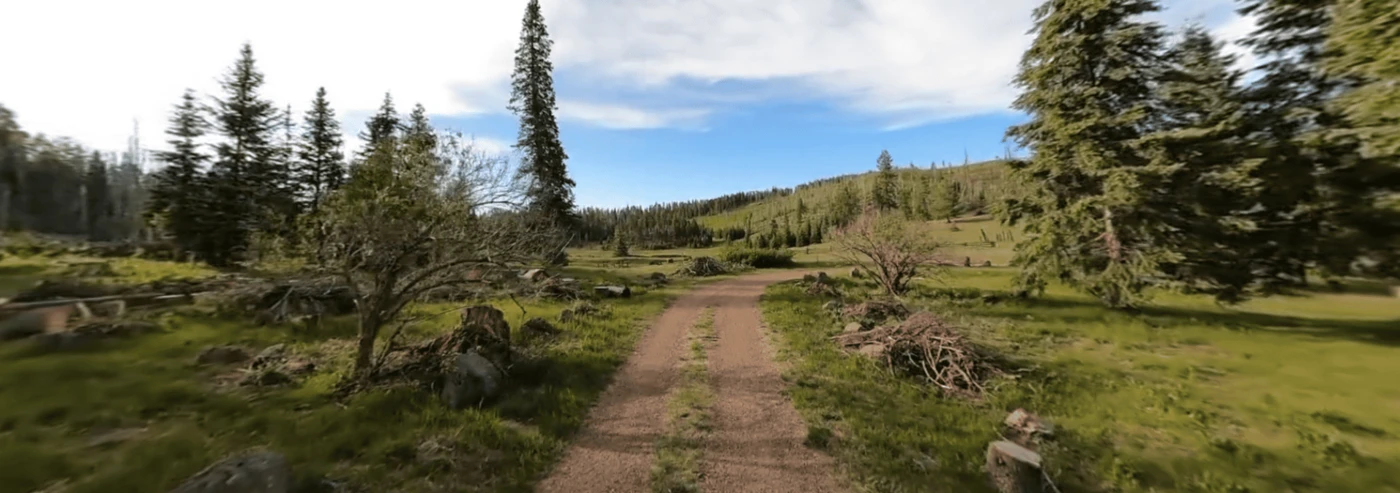 KP Cienega Campground