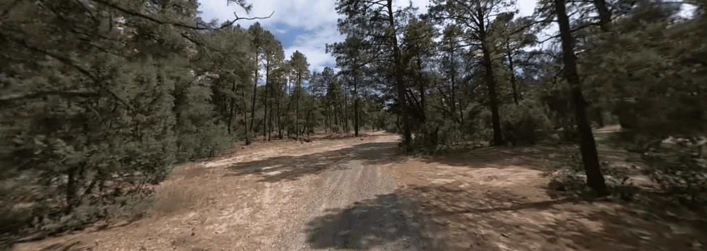 Black Jack Campground