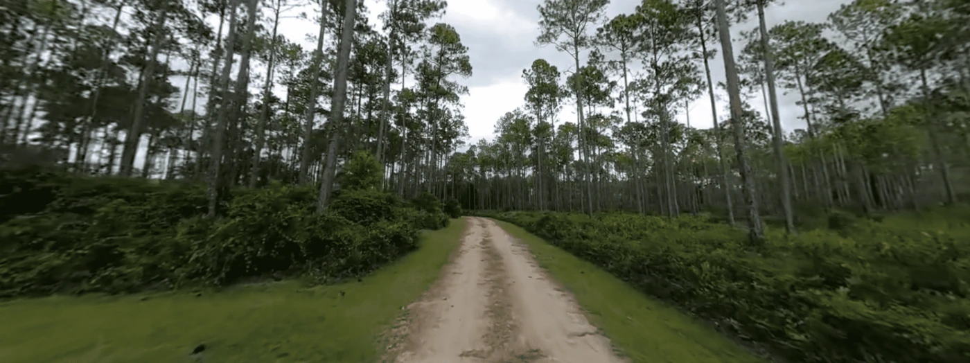 Womack Creek Campground