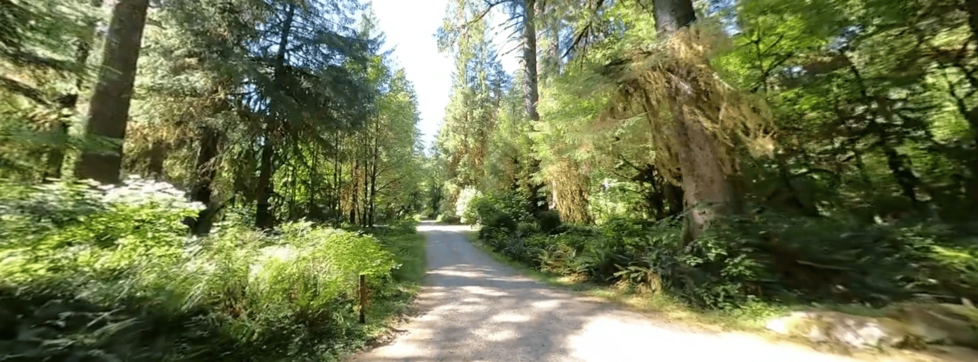 South Fork Hoh Campground