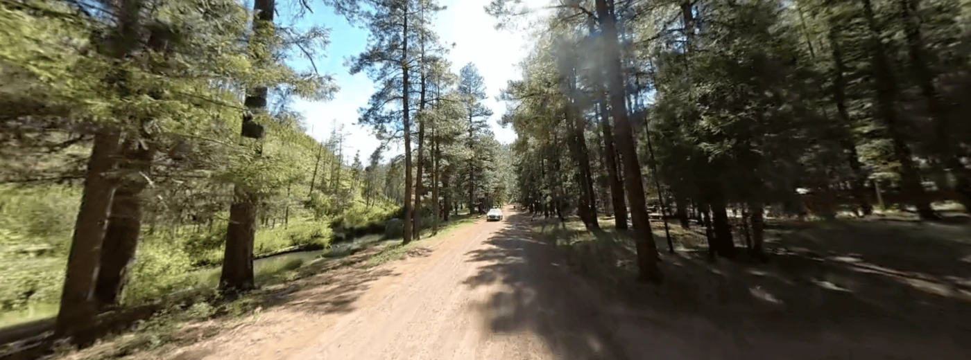 Raccoon Campground