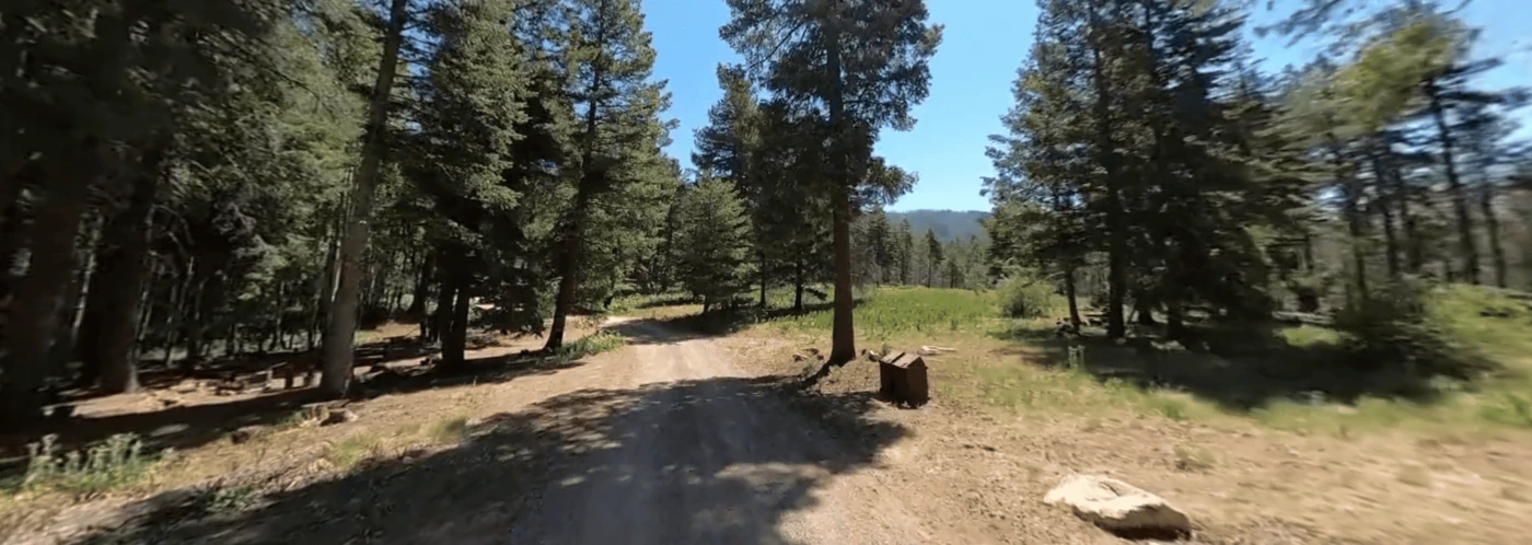 Cunningham Campground - Mt. Graham