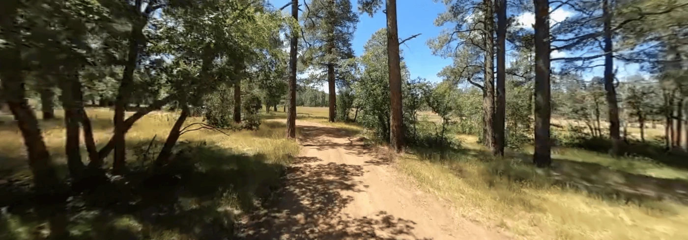 Los Buros Campground
