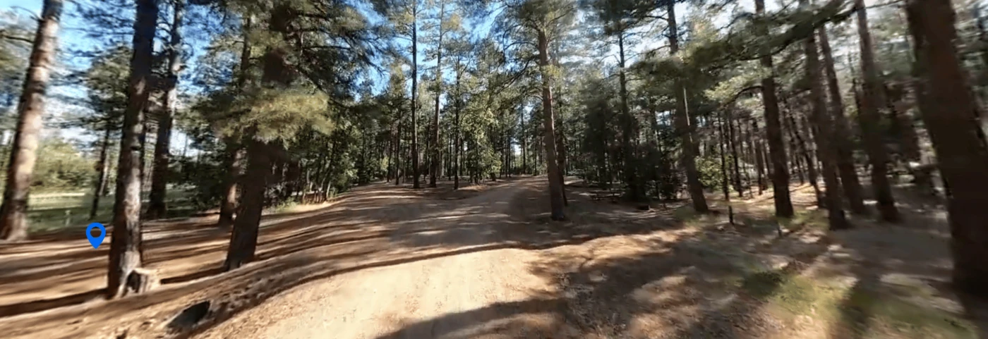 Lewis Canyon Group Campground