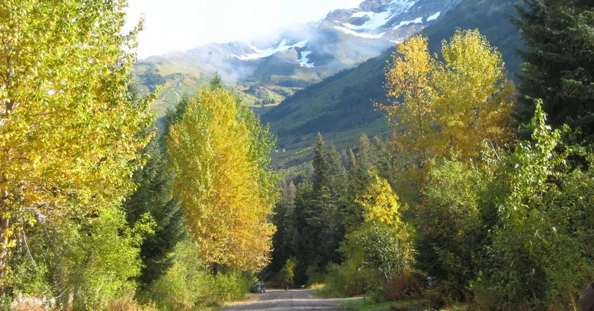 Tenderfoot Creek Campground