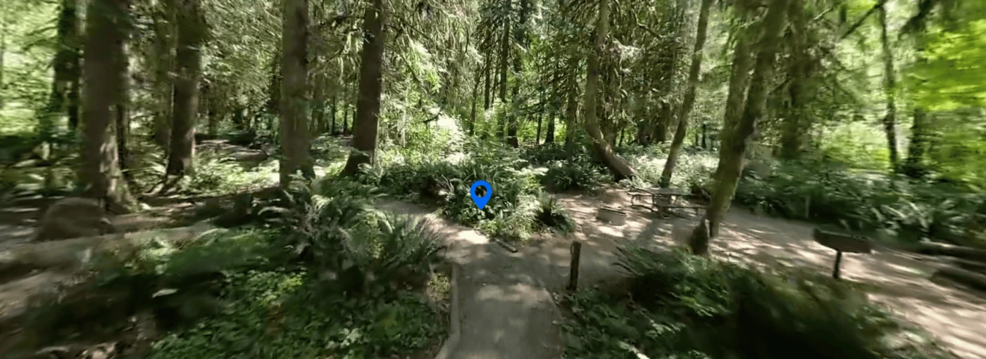 Cedar Grove Campground