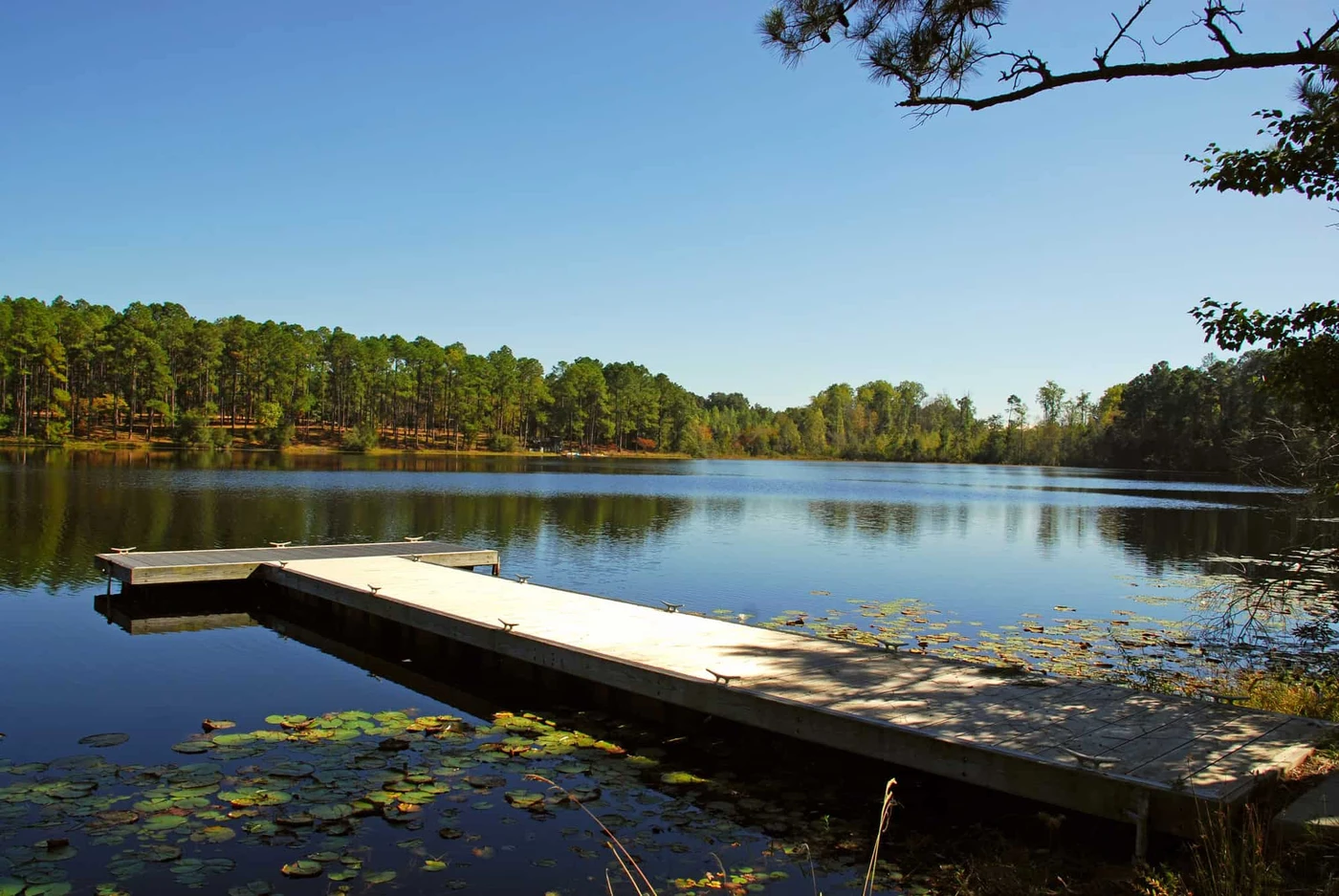Jack Hill State Park