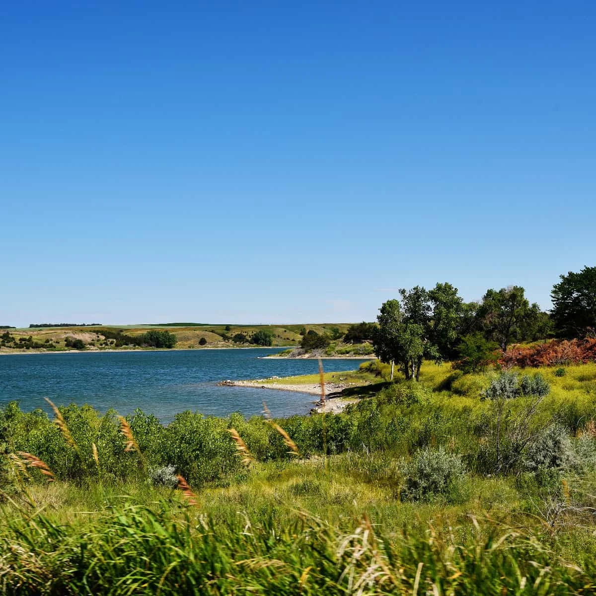 Pease Creek State Recreation Area