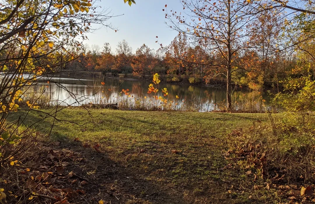 Sycamore State Park
