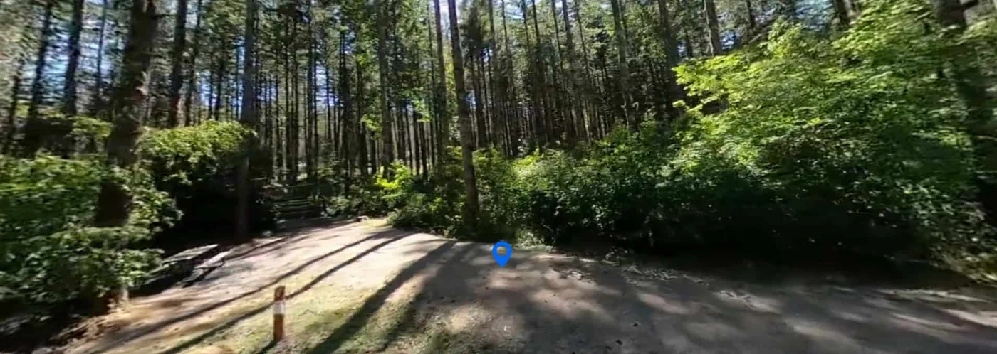 Santiam State Forest - Horse Camp