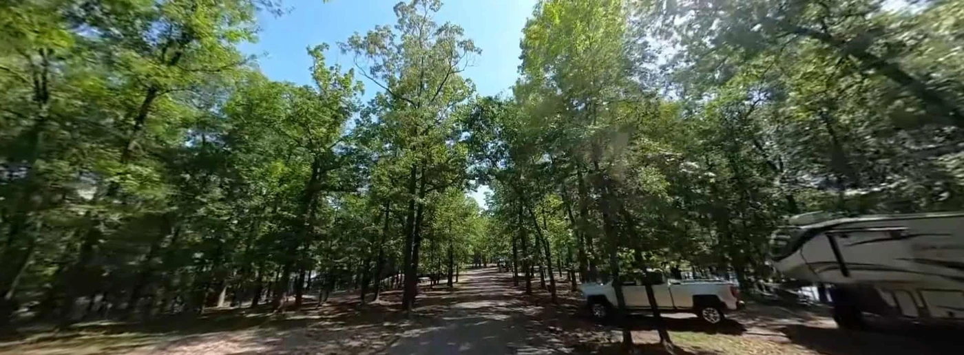 Norfork Lake - Robinson Point