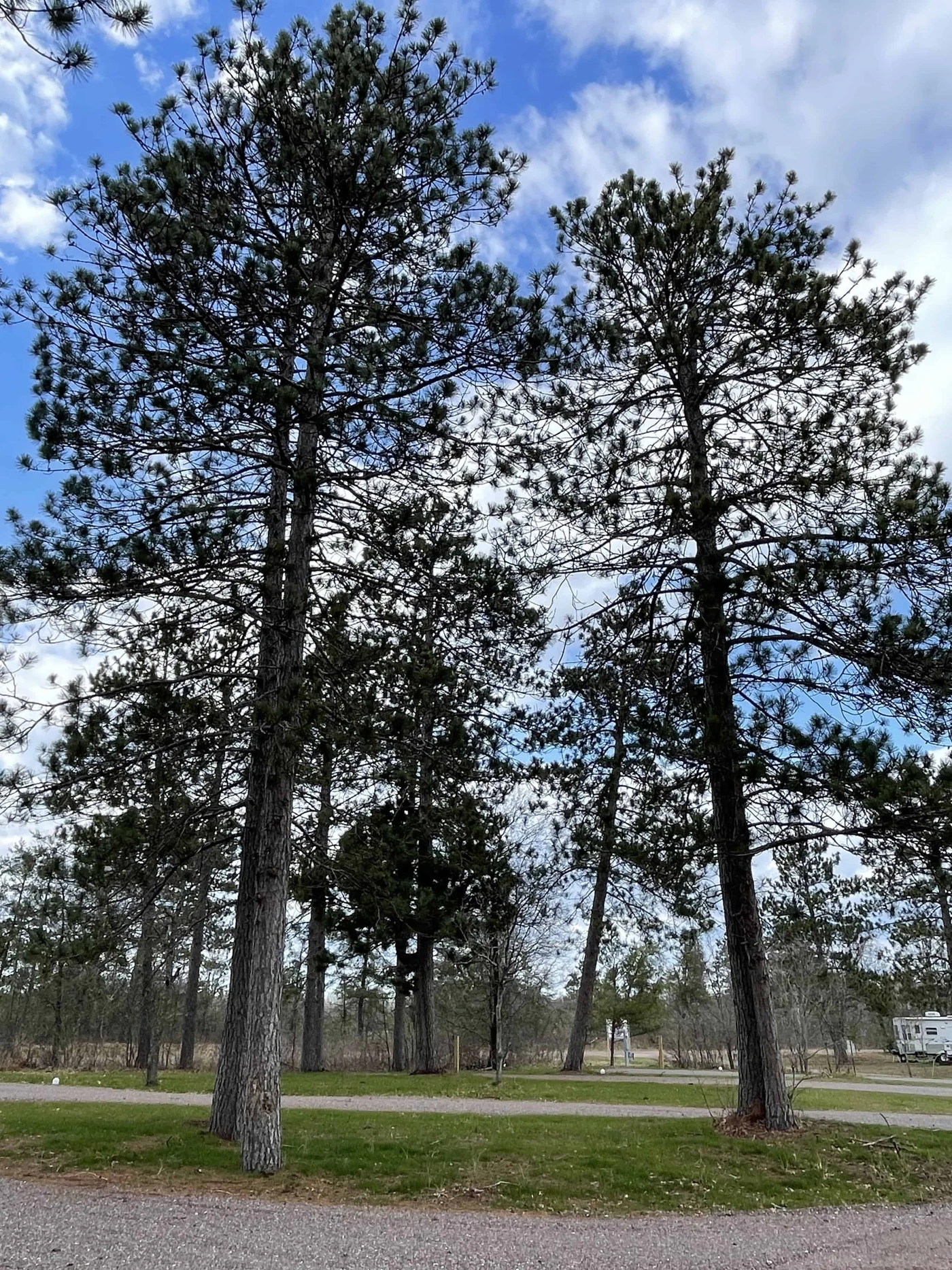 Wheelers RV Park