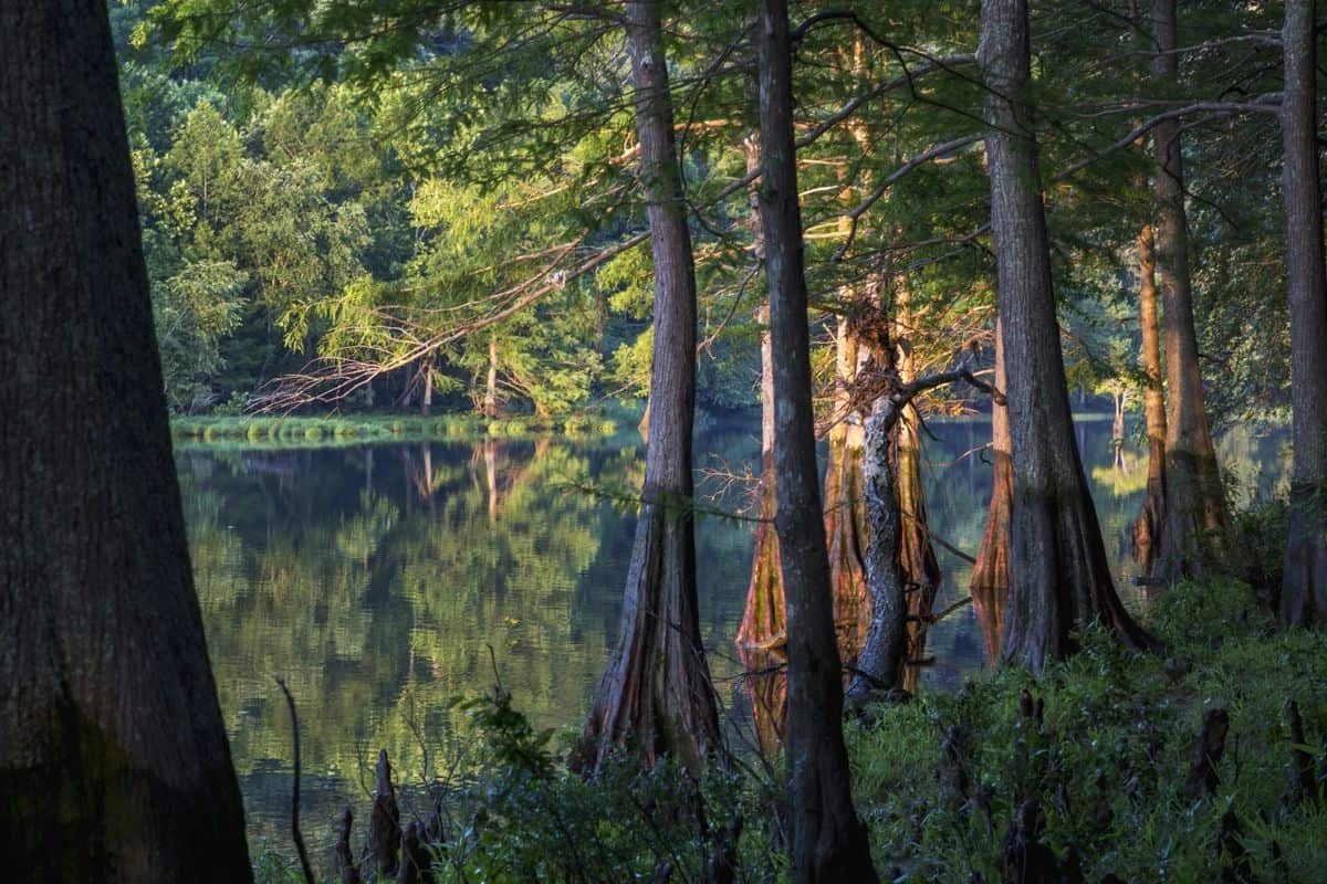 Beaver Bend - Stevens Gap