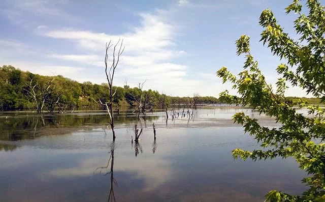 Brushy Creek State Recreation Area - Beach Campground