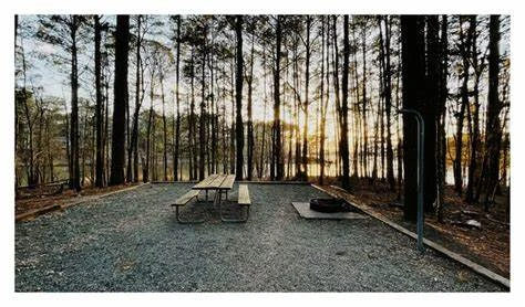 Jordan Lake State Recreation Area – Poplar Point Campground (J Loop)