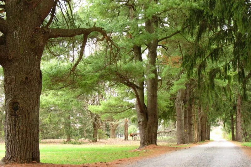 Kittatinny Valley State Park