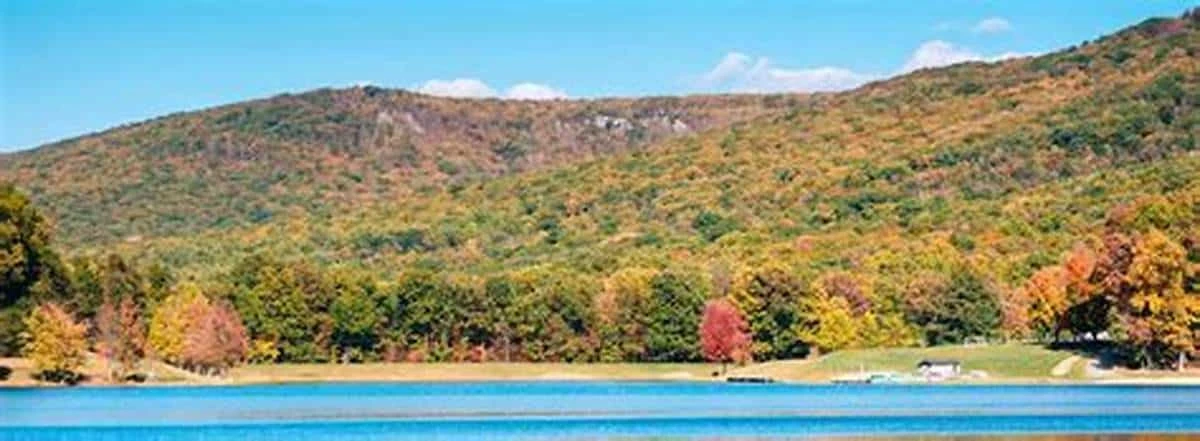 Green Ridge State Forest