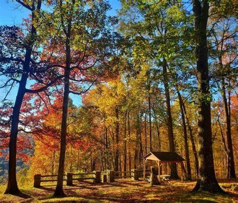 Savage River State Forest