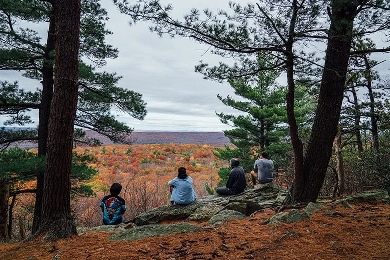 Stokes State Forest - Shotwell