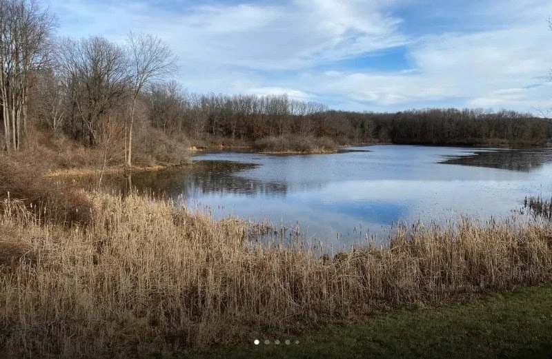 Holly McGinnis Lake Campground