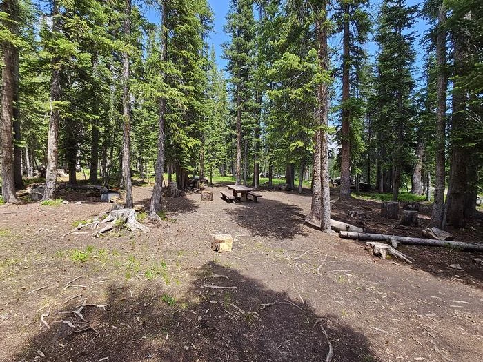 Deep Creek Campground, Medicine Bow-Routt