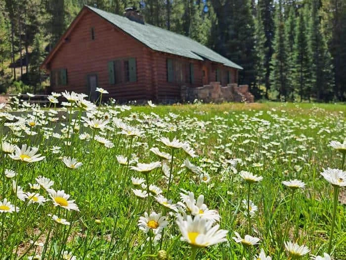 Campbell Creek Campground