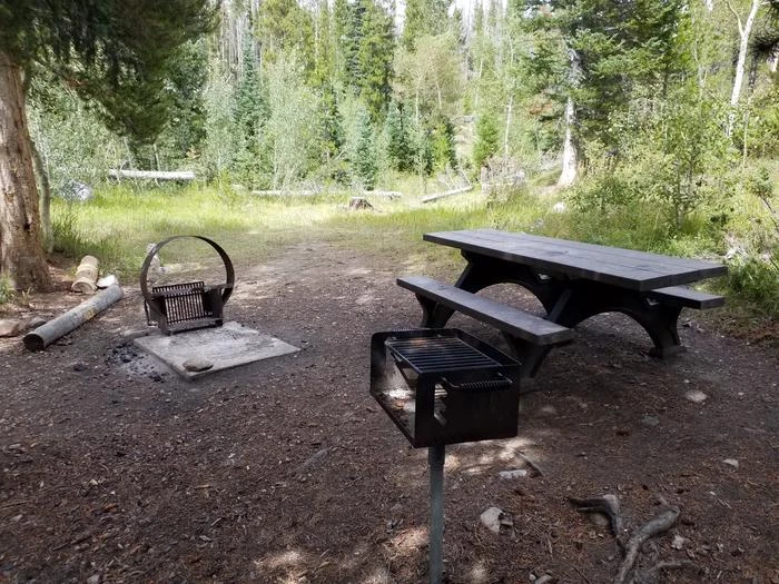 Libby Creek Willow Campground