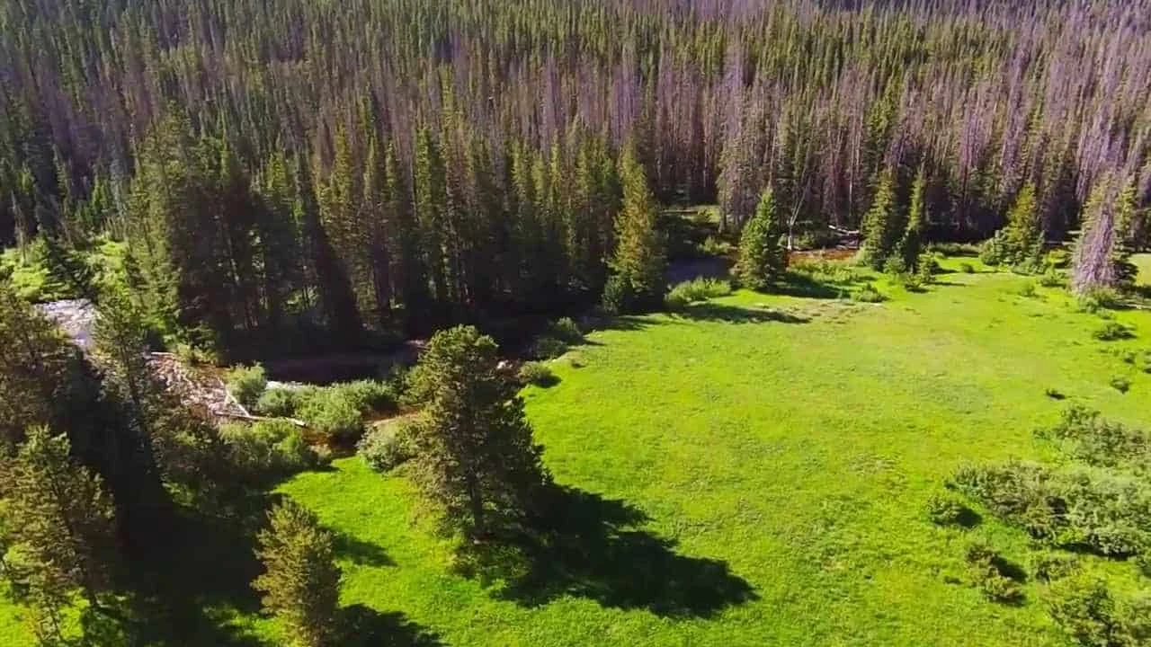 French Creek Campground (WY)