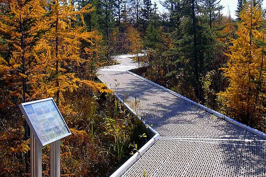 Big Bog State Recreation Area