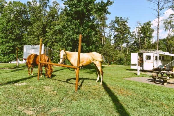 Deam Lake State Recreation Area (IN) - Horse Campground