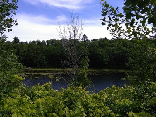 Spruce Rustic Campground — Rifle River Recreation Area