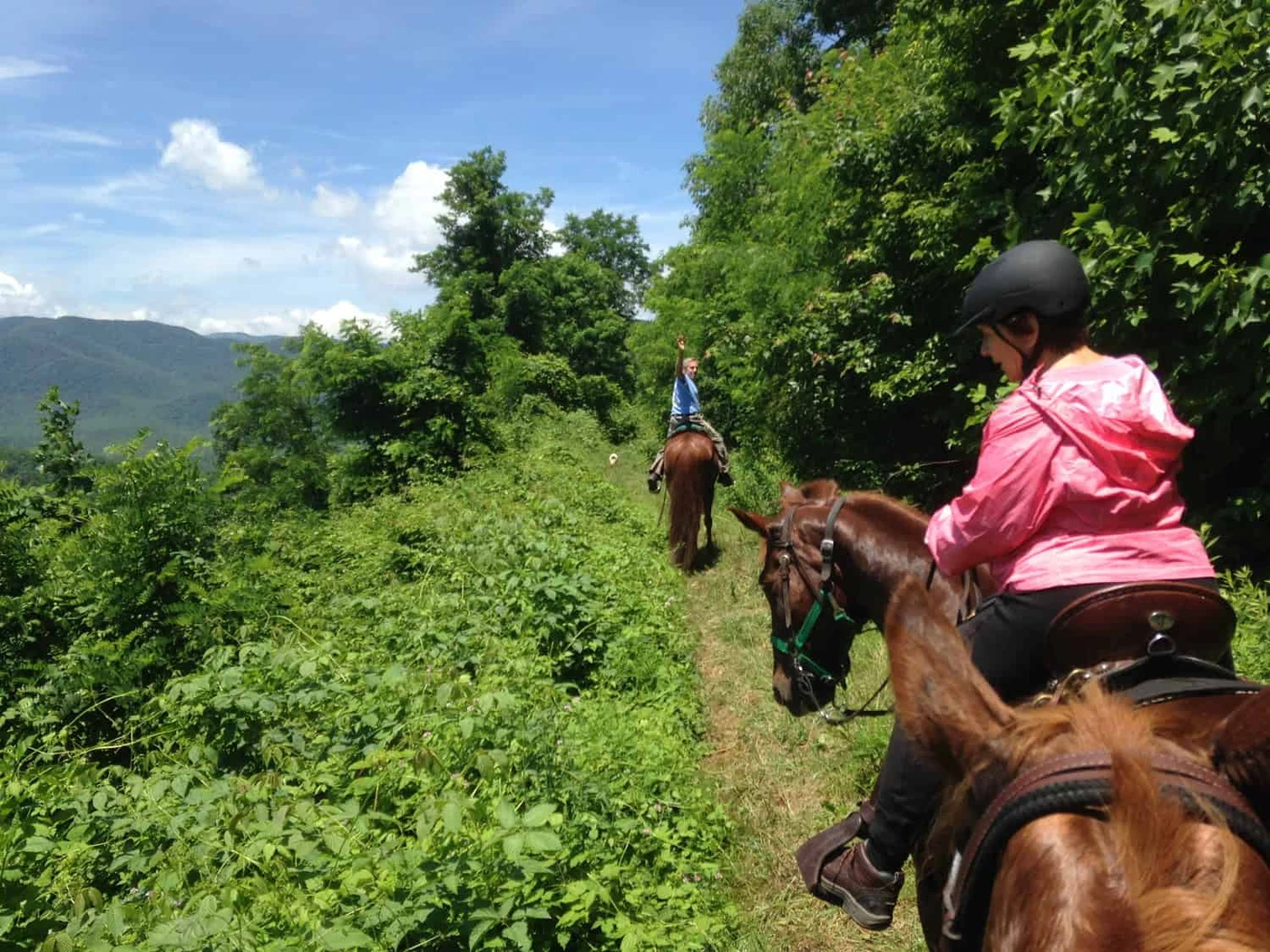 Brighton State Recreation Area - Horse Campground