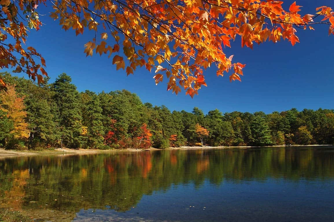 Myles Stanndish State Forest - Barrett Pond