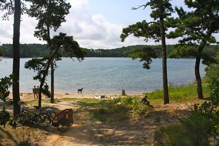 Nickerson State Park - Area 5