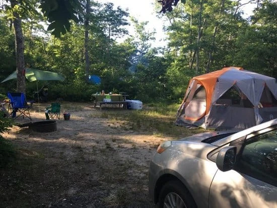 Nickerson State Park - Area 7