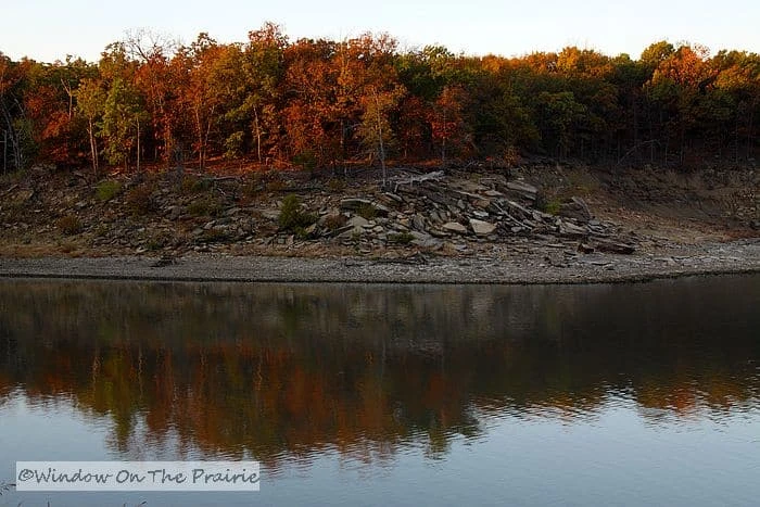 Cross Timbers State Park - Manscove