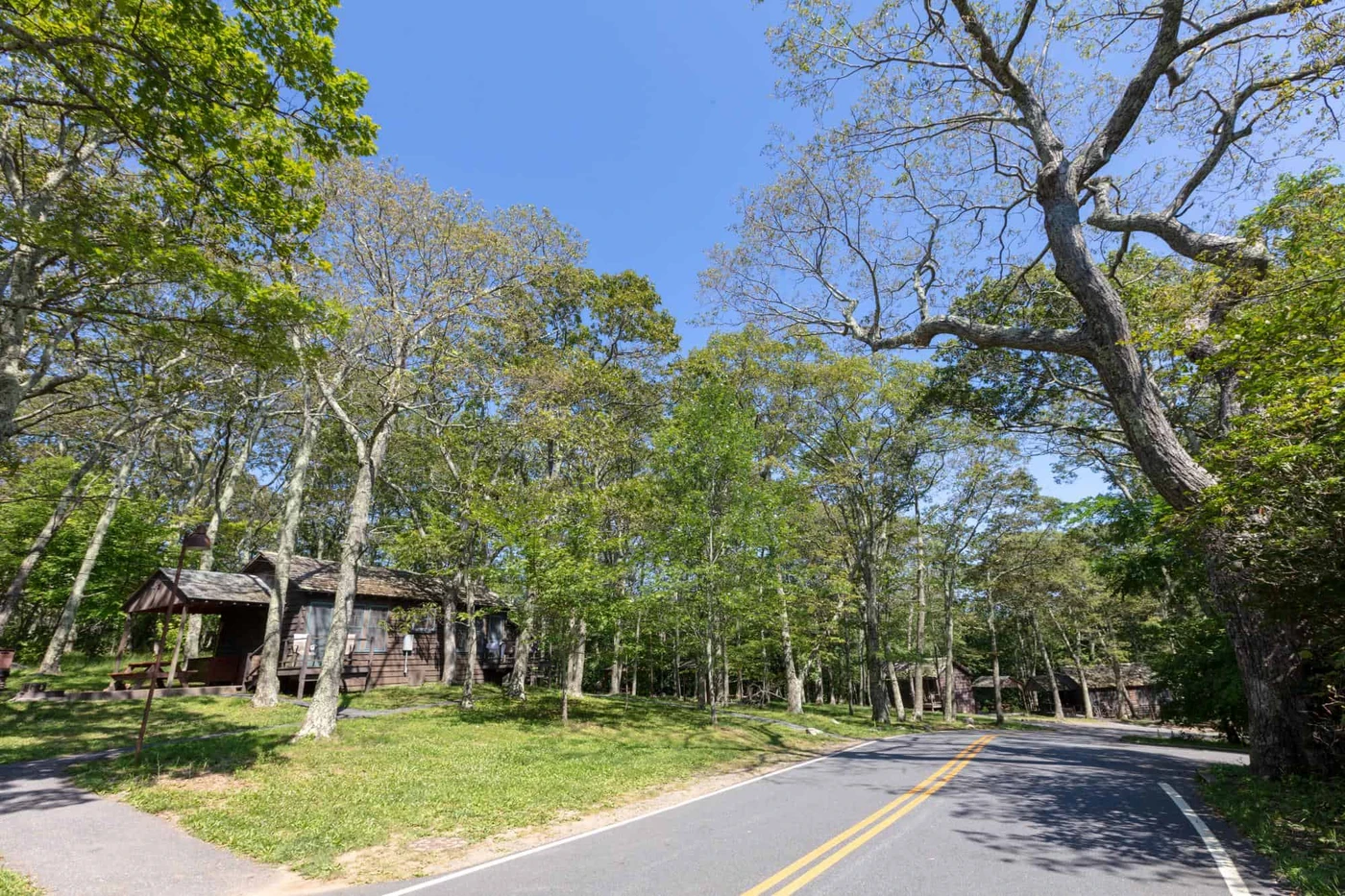 Shanendoah National Park - Lewis Campground