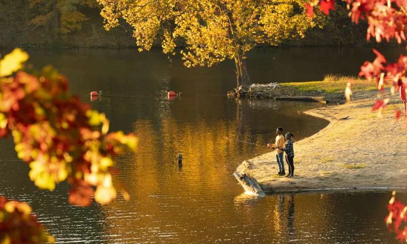Mississippi River State Park - Lone Pine Campground