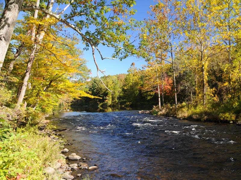 American Legion State Forest