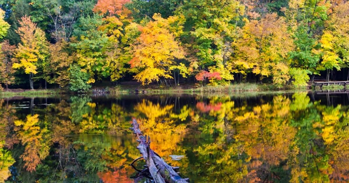 Brunet Island State Park - North