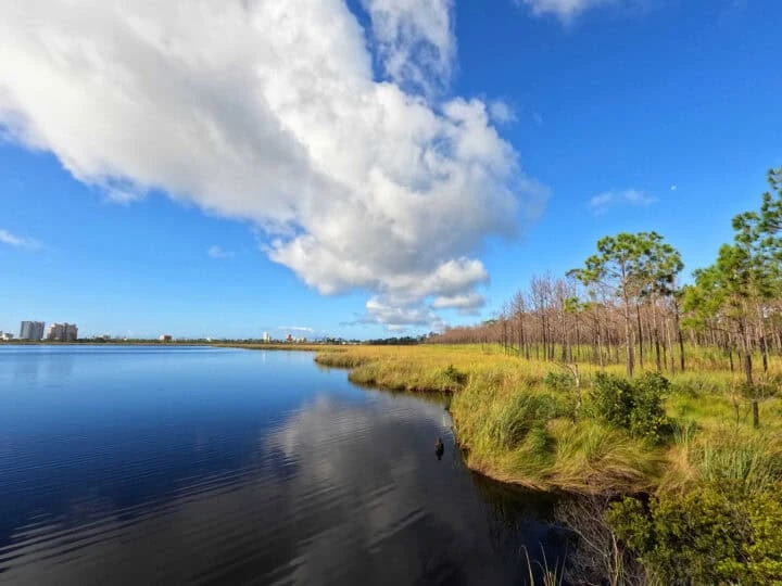 Gulf State Park - Section A.2