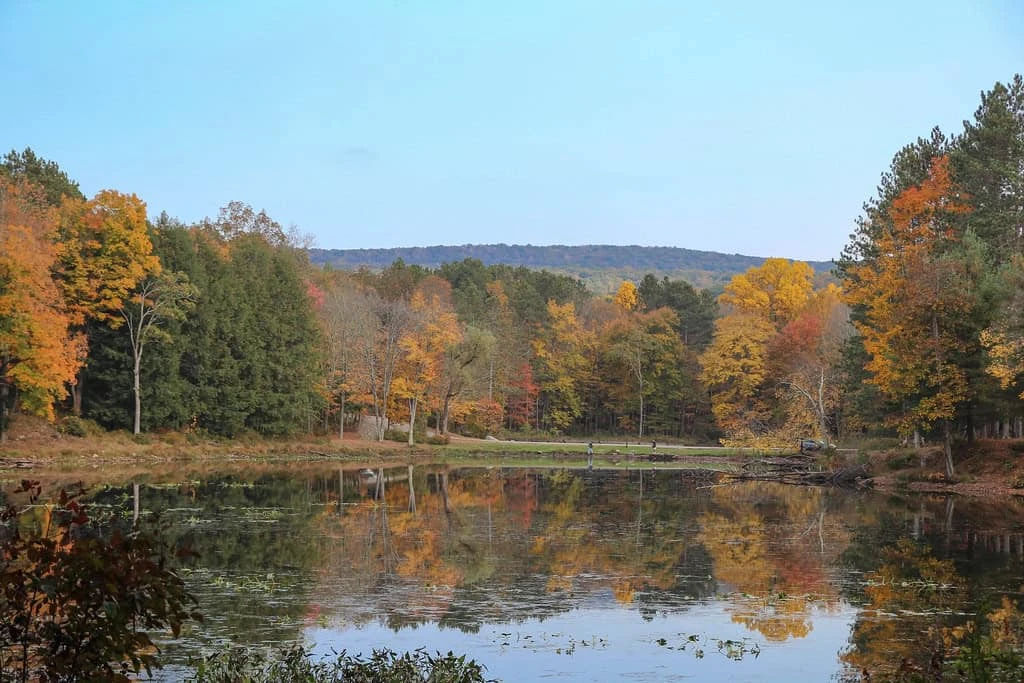 Stokes State Forest - Lake Ocquittunk